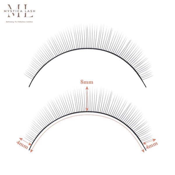 Specification Of Practice Lashes