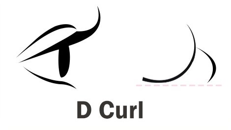 D Curl Lashes Worn On The Eyes